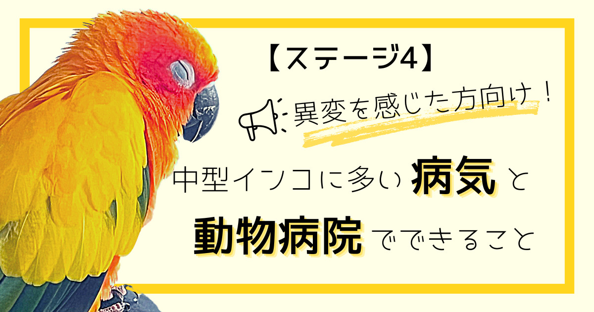 病気が見える諸々 書籍 株式会社メディックメディア | 専門的な医学知識をわかり